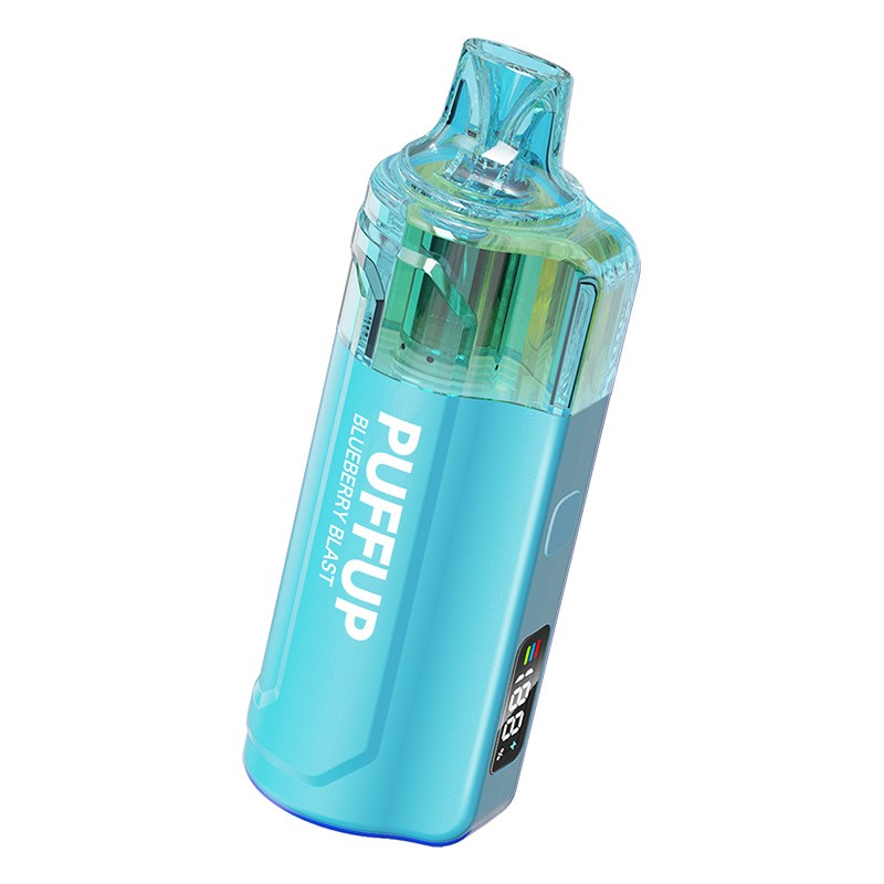 PUFFUP 25K Disposable Vape