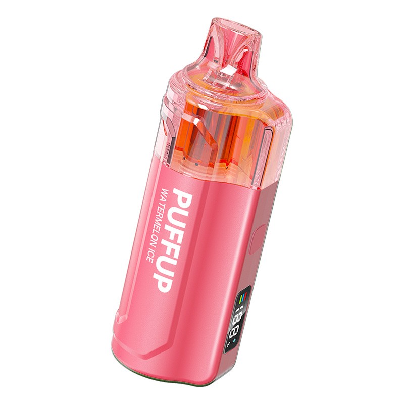 PUFFUP 25K Disposable Vape